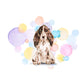 Brown Cocker Spaniel Dog Splash Card