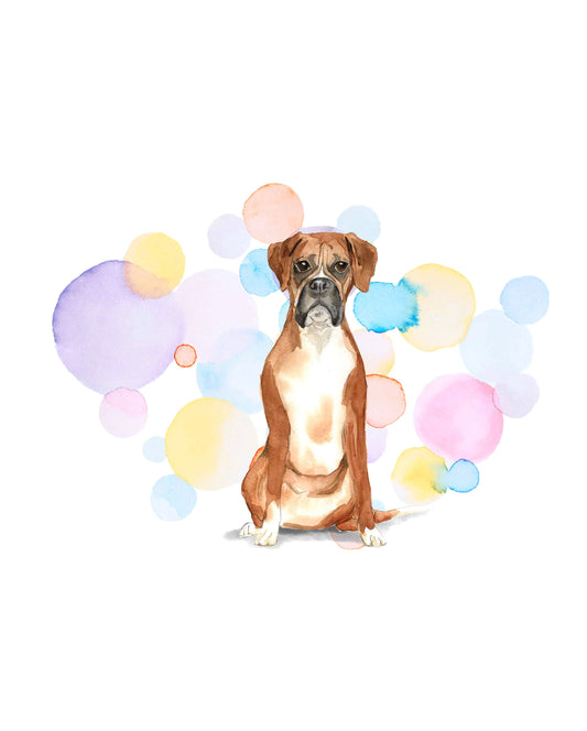 Boxer Dog Splash Card