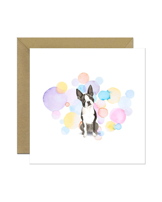 Boston Terrier Dog Splash Card