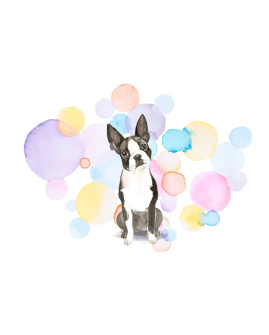 Boston Terrier Dog Splash Card