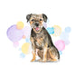 Border Terrier Dog Splash Card