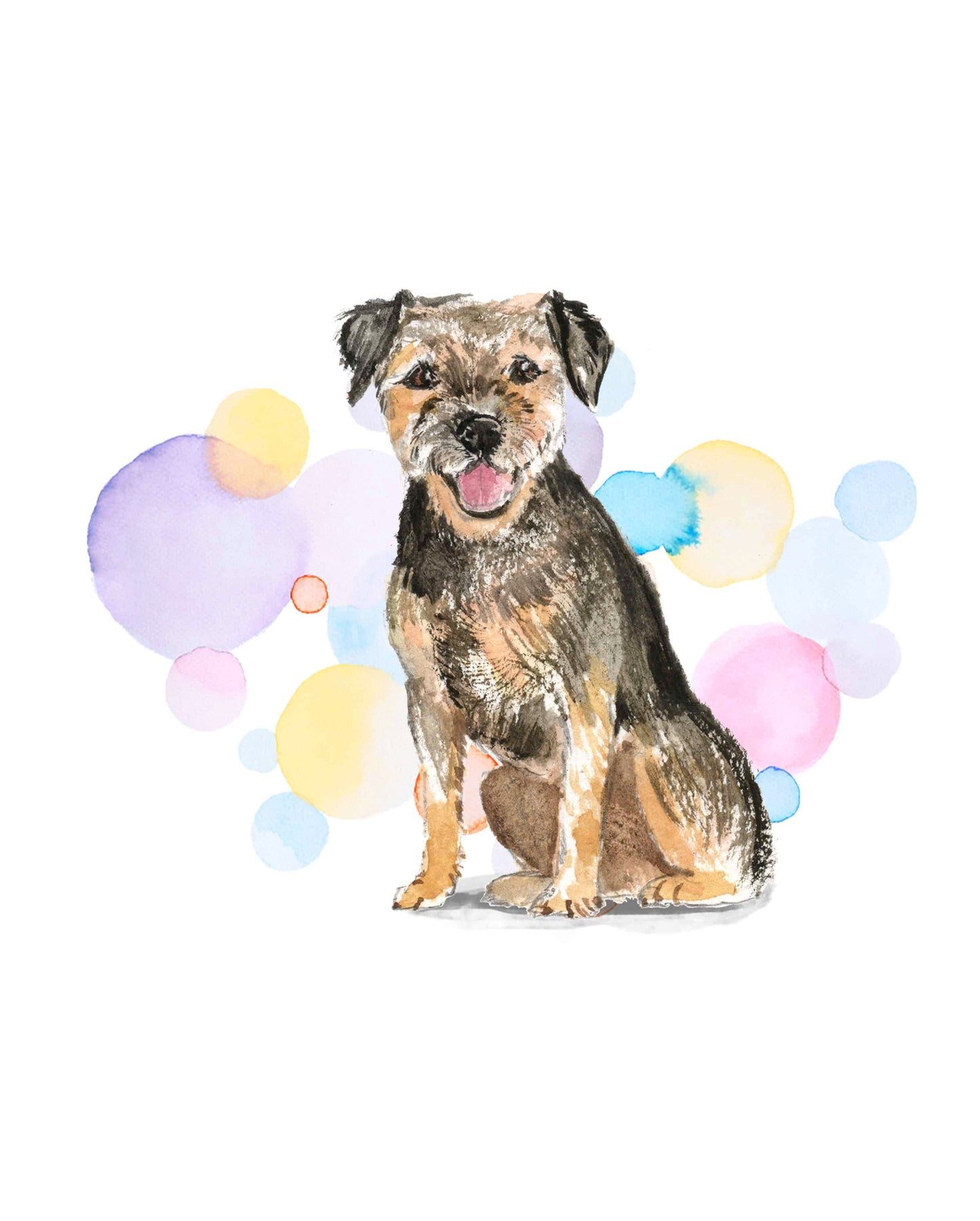 Border Terrier Dog Splash Card