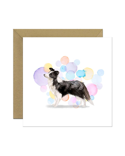 Border Collie Dog Splash Card