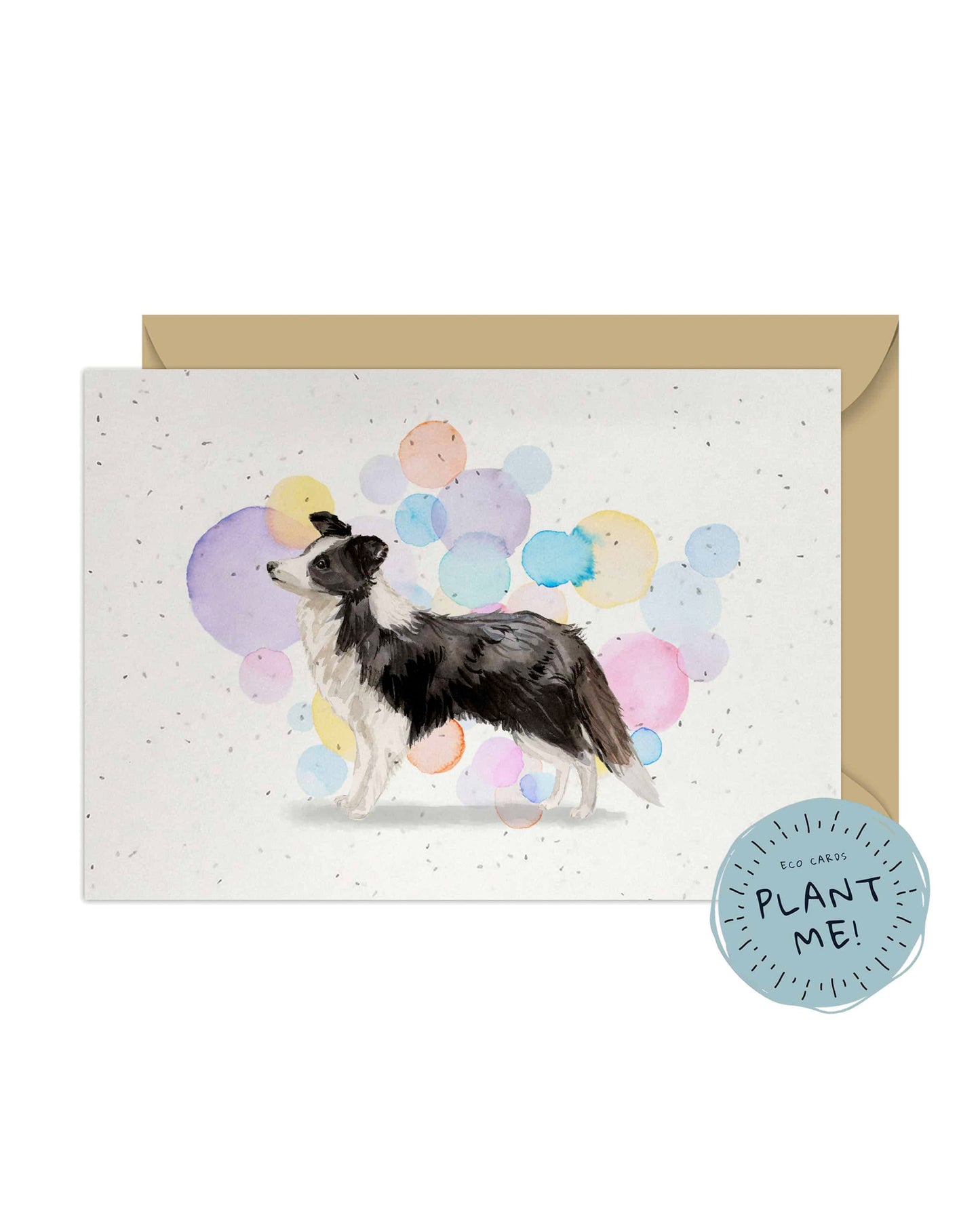 Border Collie Dog Splash Card