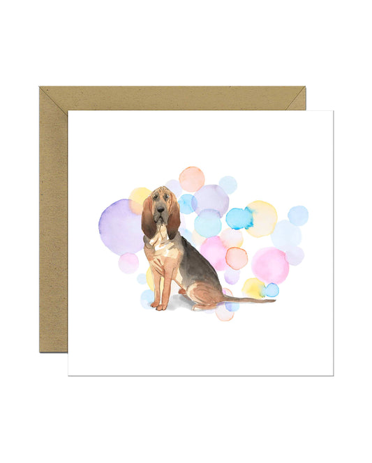 Bloodhound Dog Splash Card