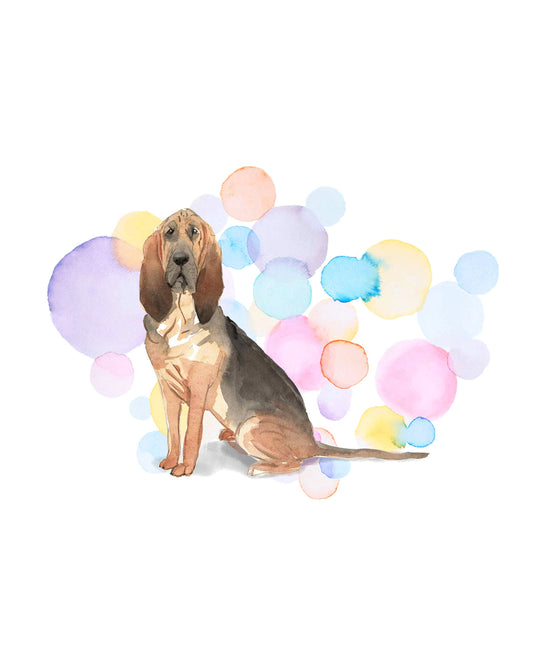 Bloodhound Dog Splash Card