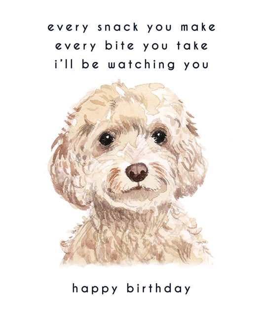 Every Bite You Take, Cockapoo Birthday Card