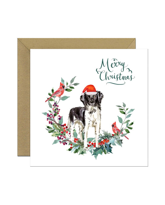 Stabyhoun Dog Christmas Card