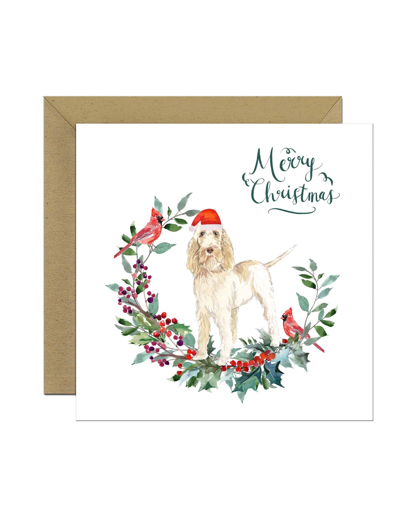 Spinone Italiano Dog Christmas Card