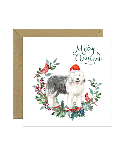 Old English Sheepdog Christmas Card