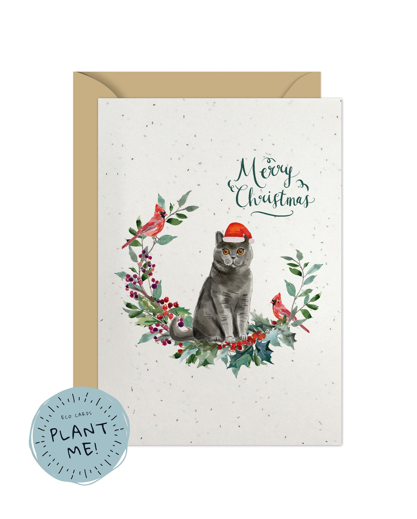 British Shorthair Cat Christmas Card