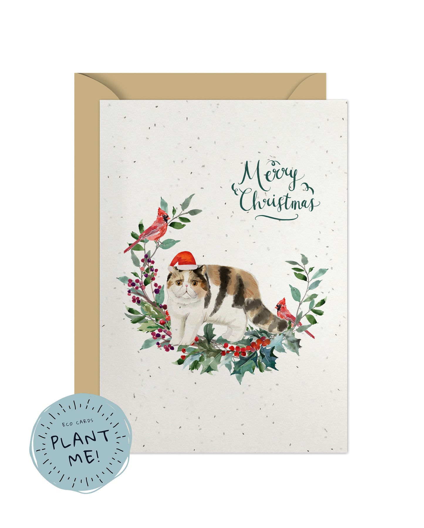 Exotic Shorthair Cat Christmas Card