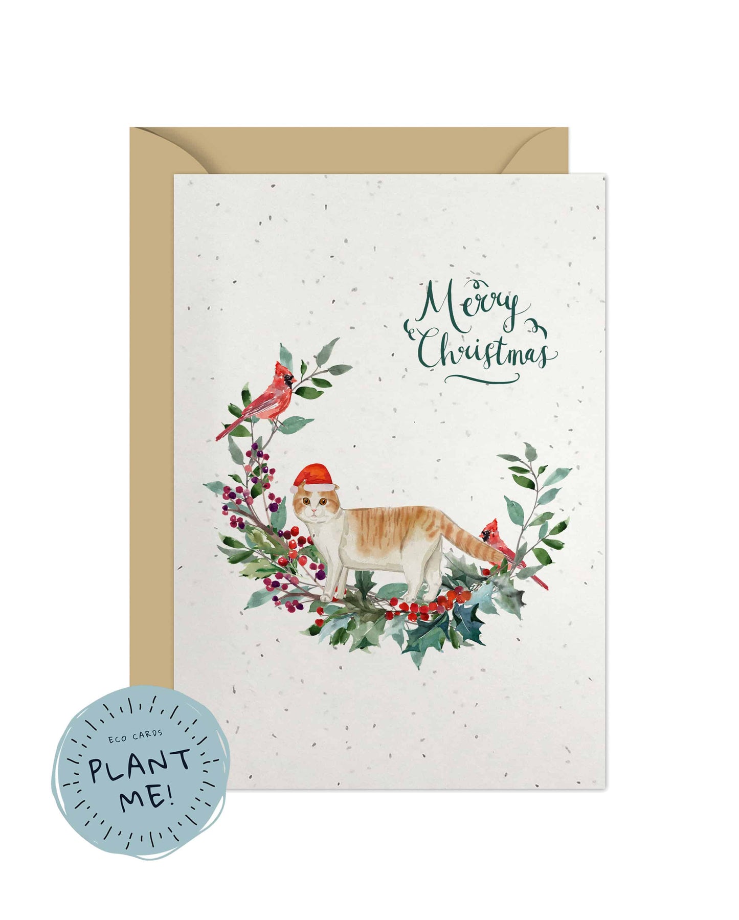 Scottish Fold Cat Christmas Card