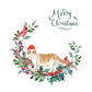 Scottish Fold Cat Christmas Card