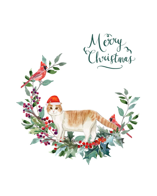 Scottish Fold Cat Christmas Card