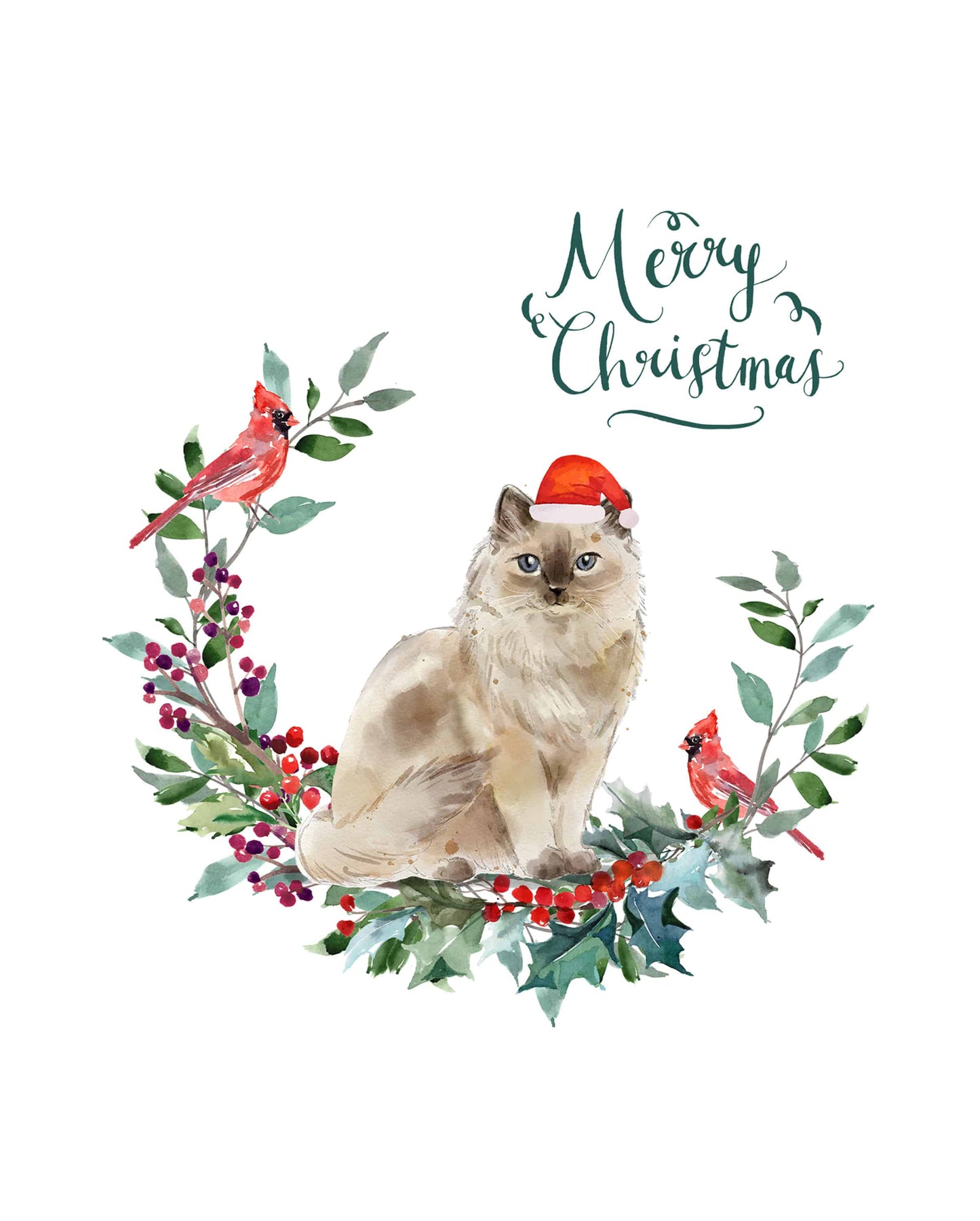 Ragdoll Cat Christmas Card