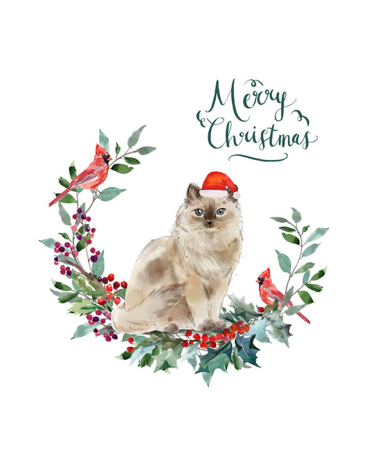 Ragdoll Cat Christmas Card