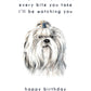 Every Bite You Take, Shih Tzu Birthday Card