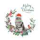 Maine Coon Cat Christmas Card