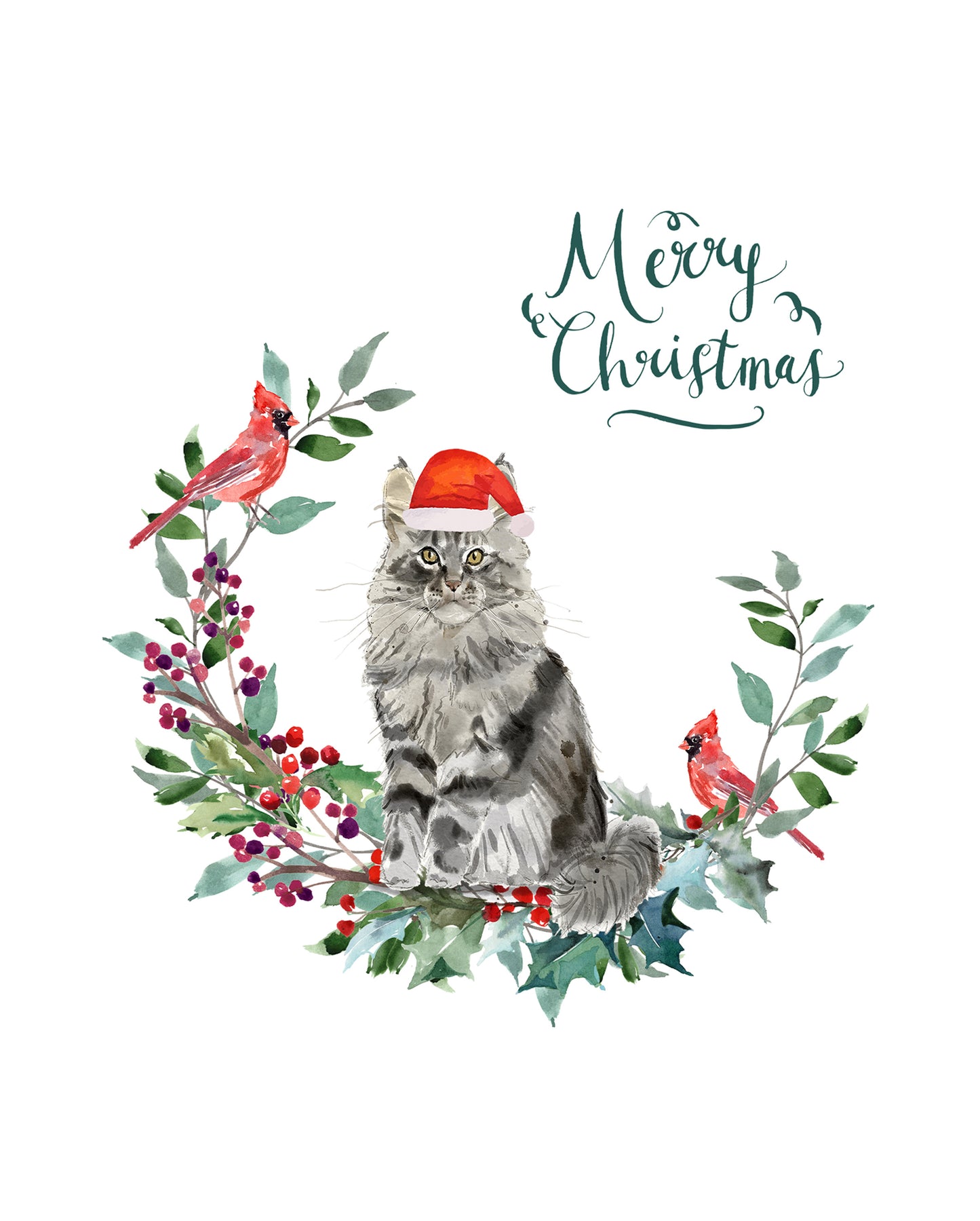 Maine Coon Cat Christmas Card