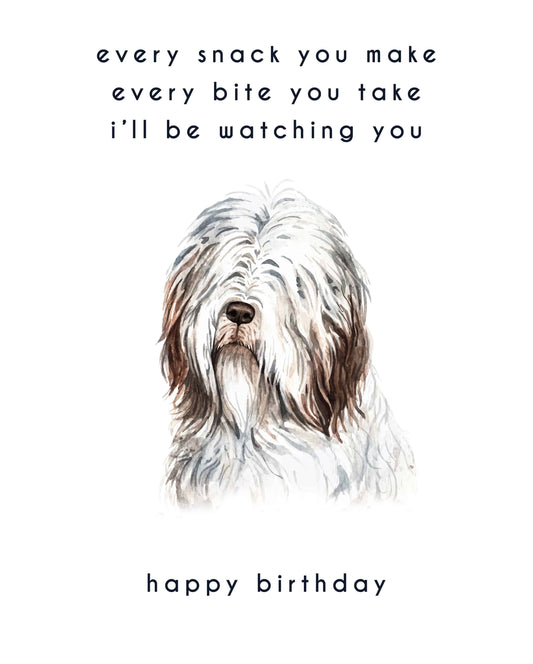 Every Bite You Take, Bearded Collie Birthday Card