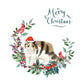 Exotic Shorthair Cat Christmas Card