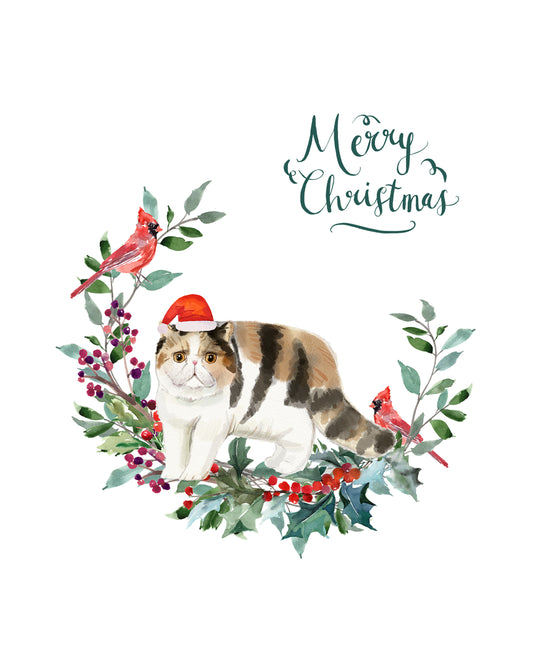 Exotic Shorthair Cat Christmas Card