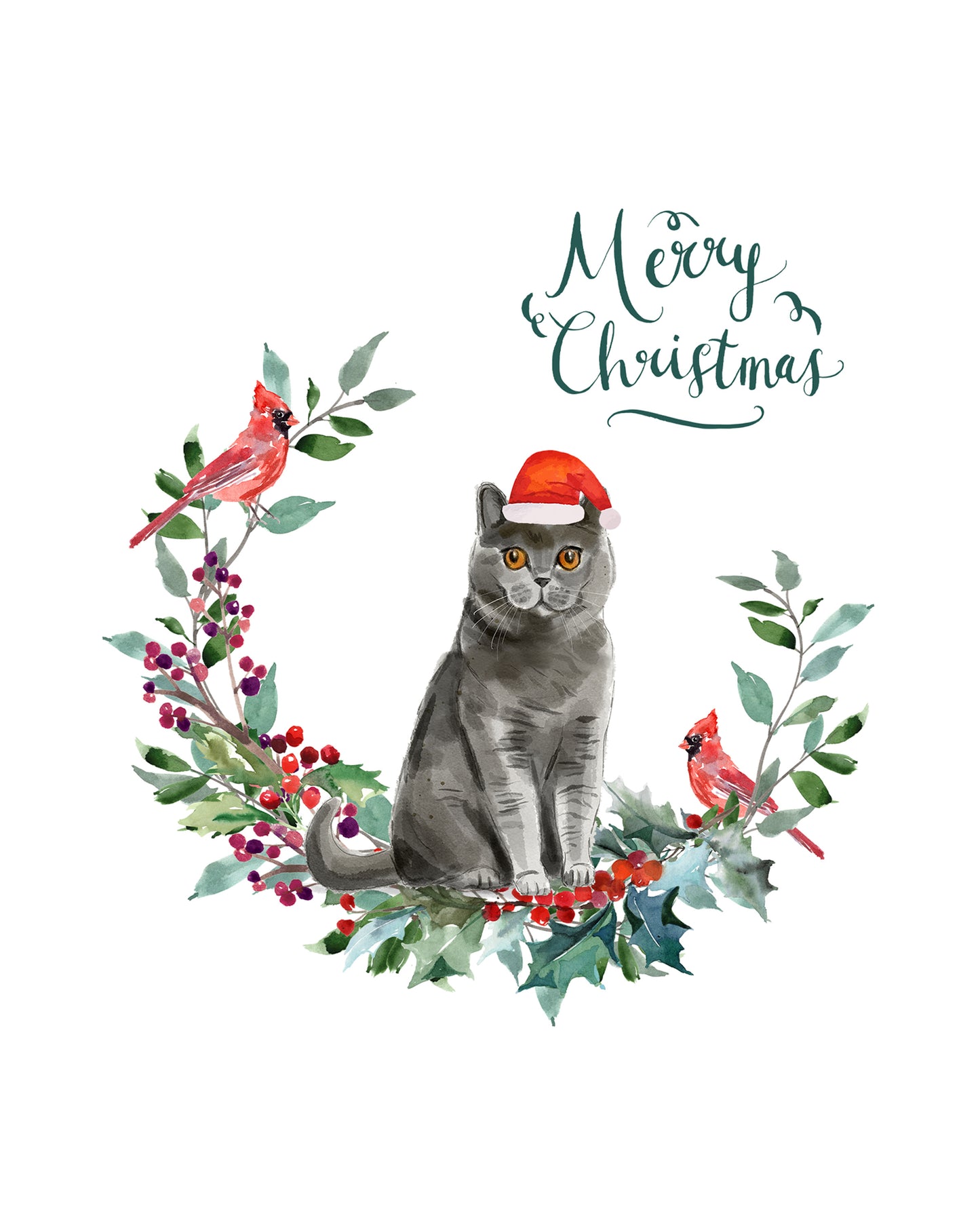 British Shorthair Cat Christmas Card