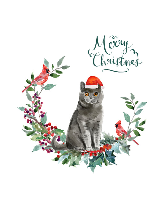 British Shorthair Cat Christmas Card