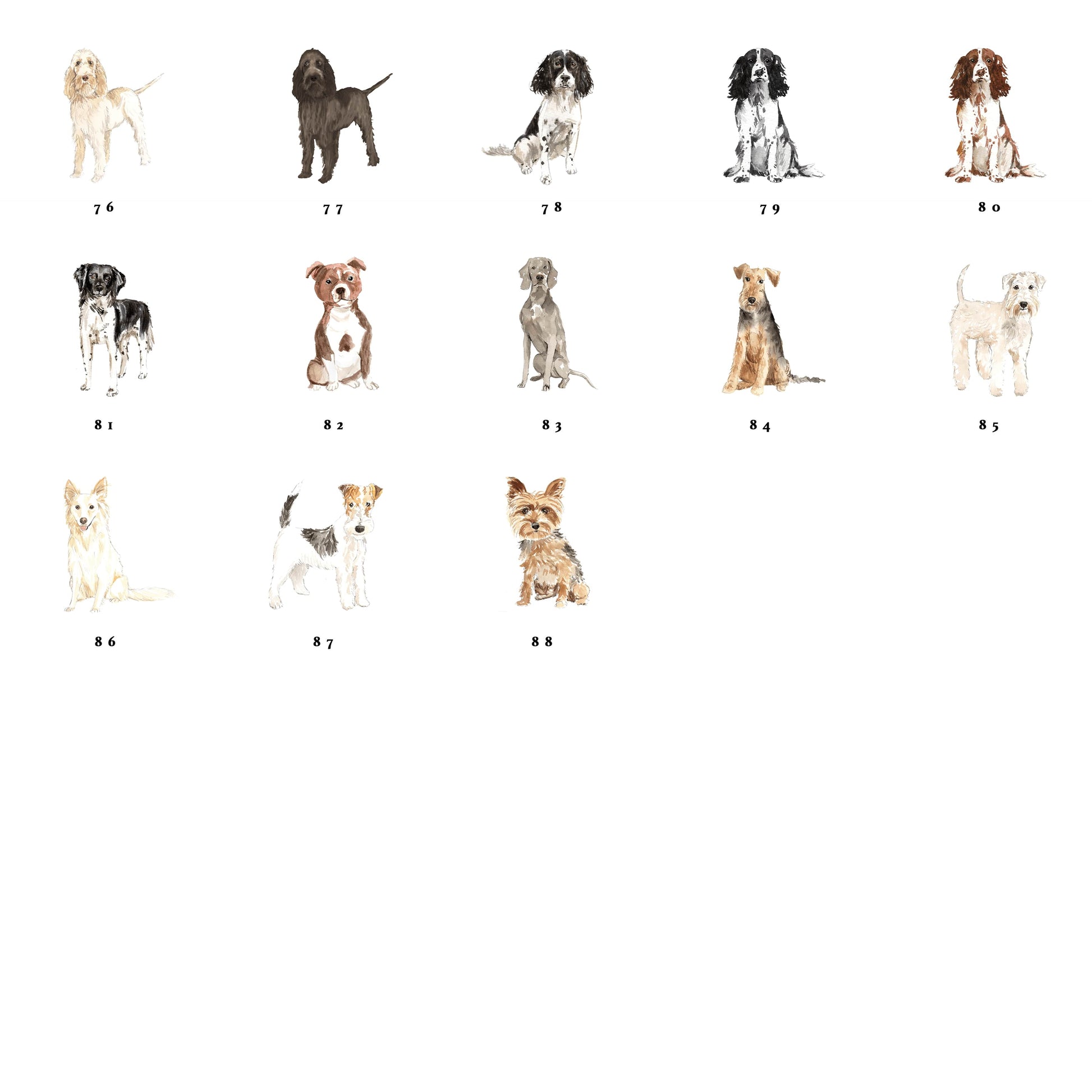 watercolour dogs, Spinone Italiano Spinone Italiano Brown Roan Springer Spaniel Black & White Springer Spaniel Black & White Springer Spaniel Brown & White Staby Houn Staffordshire Bull Terrier Weimaraner Welsh Terrier Wheaton Terrier White Collie Wire Haired Fox Terrier Yorkshire Terrier