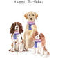 Gender Fluid Birthday Dog Card