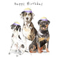 Non Binary Birthday Dog Card