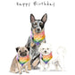 Gay Progressive Birthday Dog Card