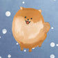 Pomeranian Sky Premium Cushion