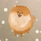 Pomeranian Autumn Premium Cushion