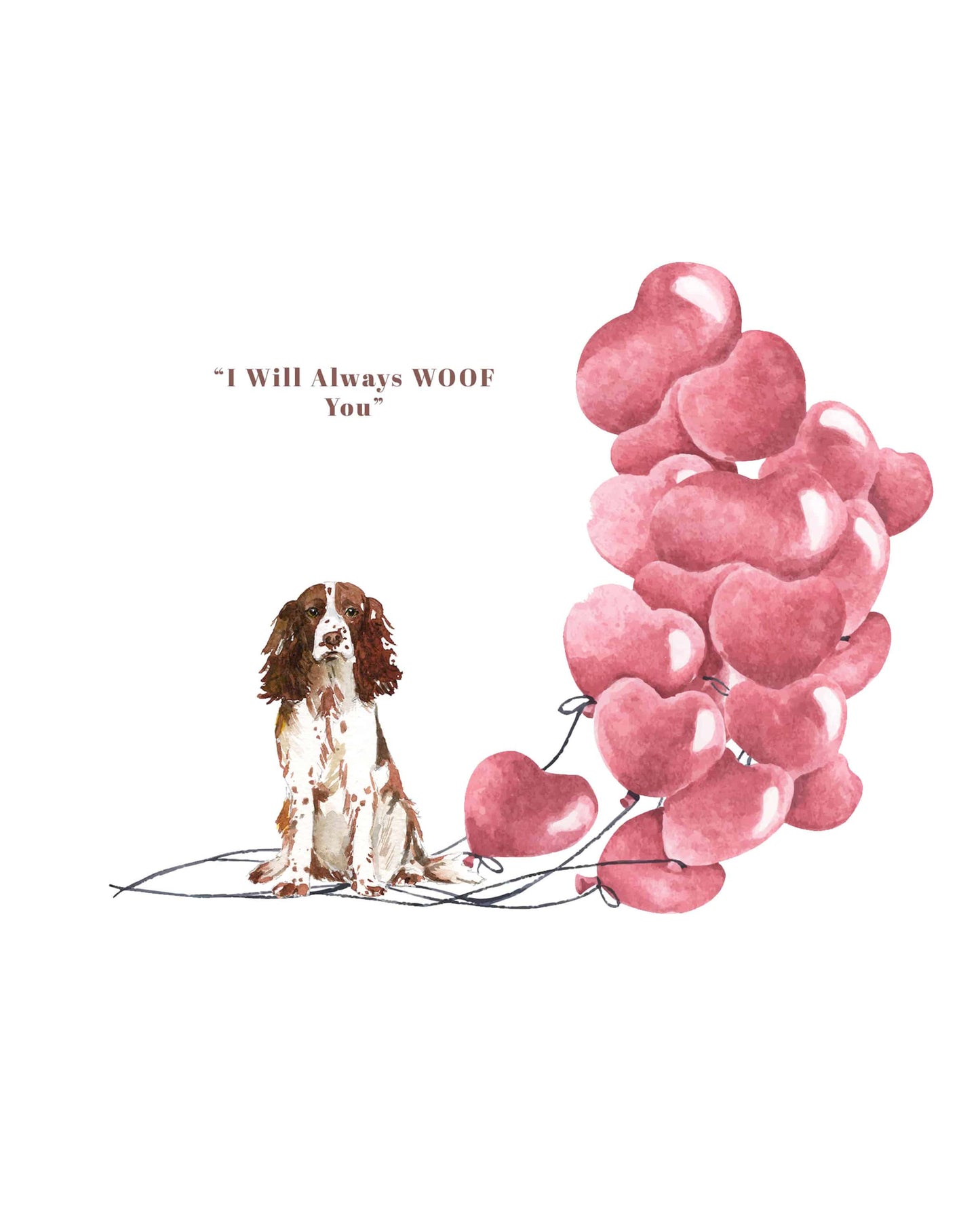 I will always WOOF You, Sprocker Springer Spaniel Brown Valentine's Card