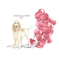 I will always WOOF You, Spinone Italiano Valentine's Card