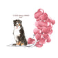 I will always WOOF You, Bernese Mountain Dog Valentine's Card