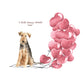 I will always WOOF You, Welsh Terrier Valentine's Card