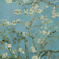 Almond Blossoms by Van Gogh Premium Pillow